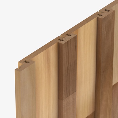 BB11 Cedarone Evolve