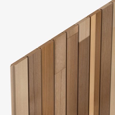 CP3354 Cedarone Evolve