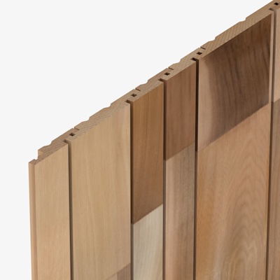 SV25 Cedarline Evolve