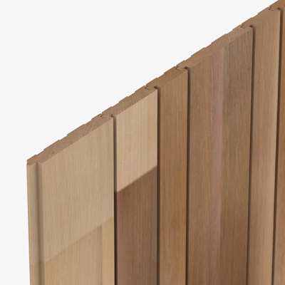 SP13 Cedarone Evolve