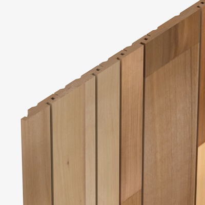 SV25 Cedarone Evolve