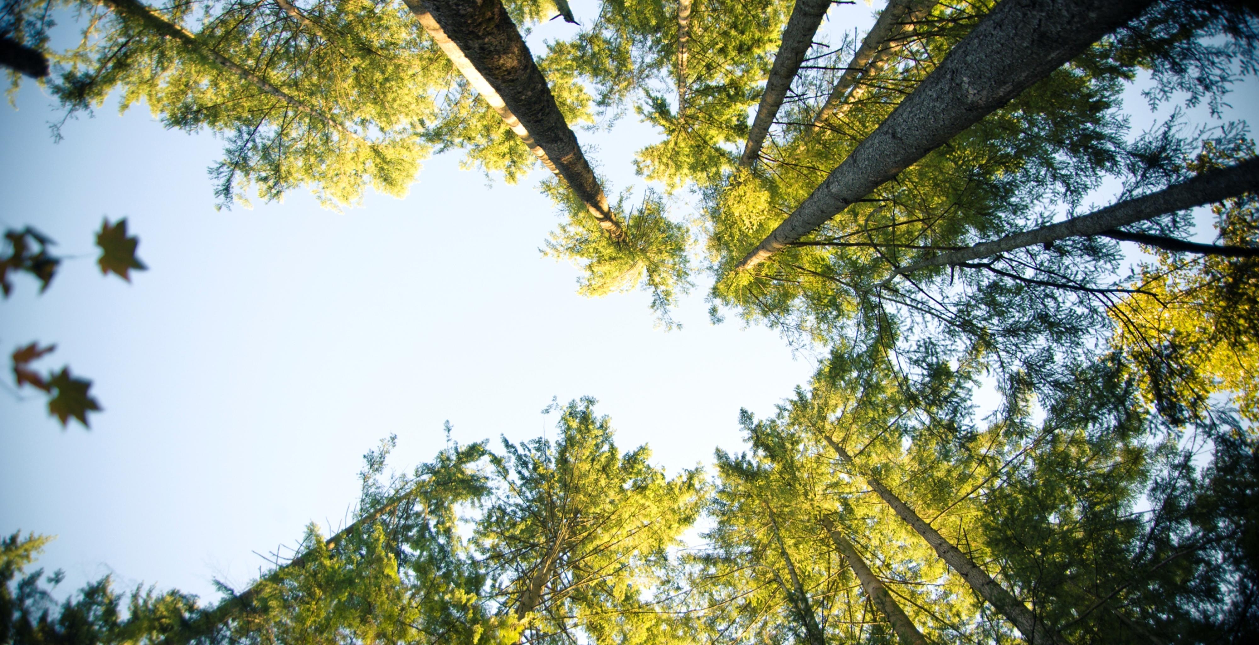 hermpac limited environment