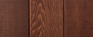Jarrah Tree
