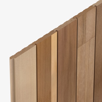 CP3360 Cedarone Evolve