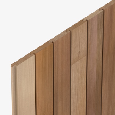 CP3359 Cedarone Evolve