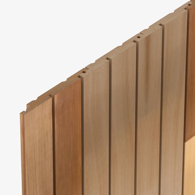 HP60 Cedarone Evolve