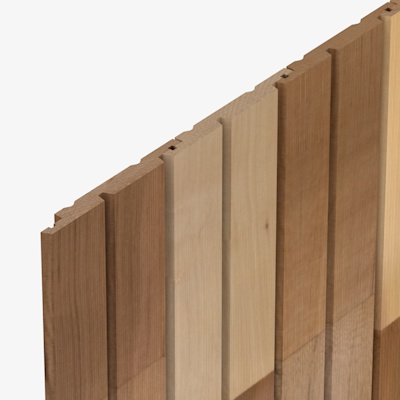 HP54 Cedarone Evolve