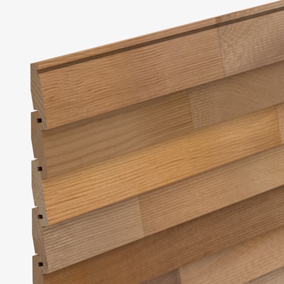 CP2494 Cedarline Evolve