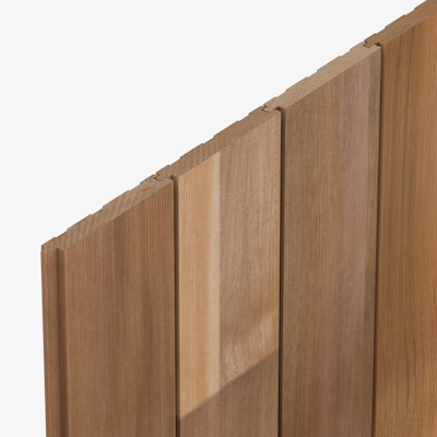 CP3361 Cedarone Evolve