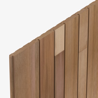 SP14 Cedarone Evolve