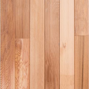 CedarLine Evolve