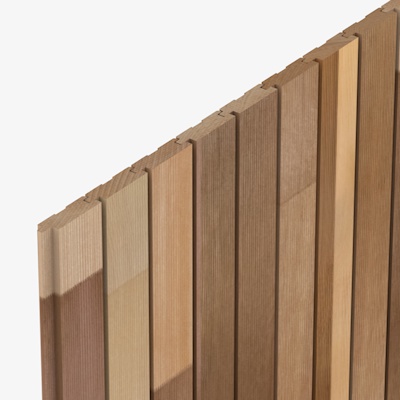 CP3358 Cedarone Evolve