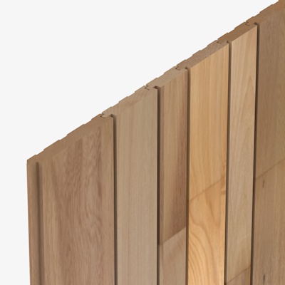 SP14 Cedarline Evolve