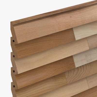 CP2151 Cedarline Evolve