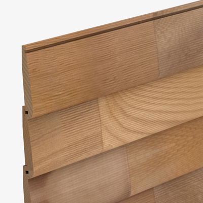 CP2496 Cedarline Evolve