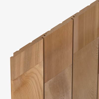 CP1740 Cedarline Evolve