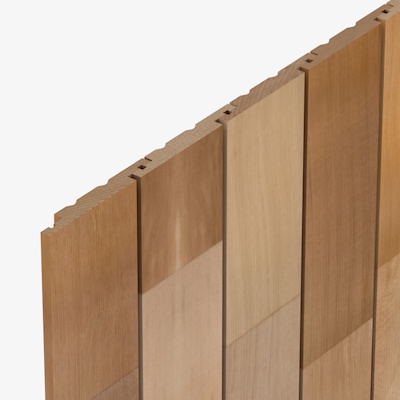 CP1739 Cedarline Evolve