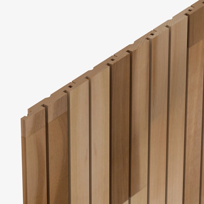 HP58 Cedarone Evolve