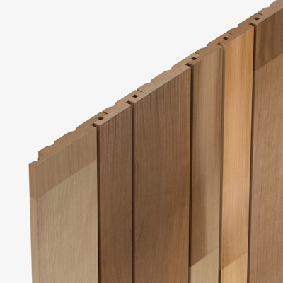 SV24 Cedarone Evolve