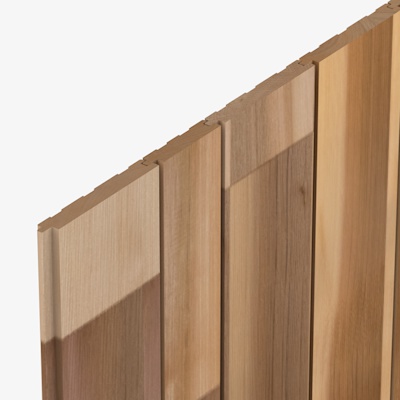 SP12 Cedarone Evolve