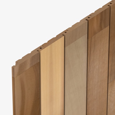 CP1739 Cedarone Evolve