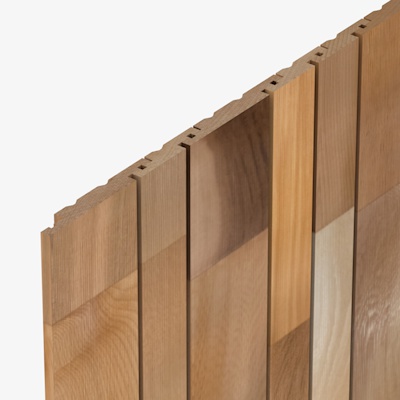 SV24 Cedarline Evolve