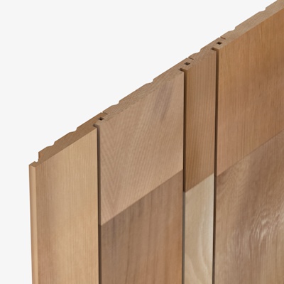 SV2 Cedarline Evolve