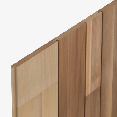 SP15 Cedarone Evolve