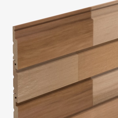 CP841 Cedarline Evolve