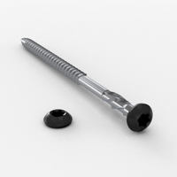 Black Stainless Steel Starcap (for Weatherboards)