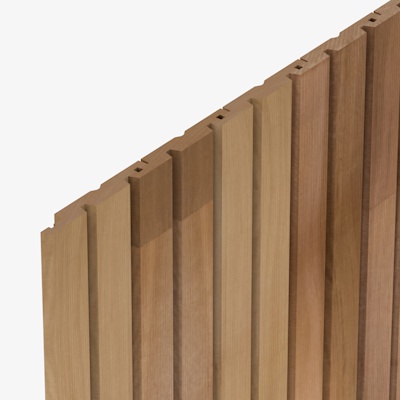 HP53 Cedarone Evolve