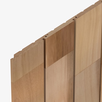 CP1470 Cedarline Evolve