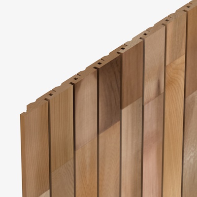 CP862 Cedarline Evolve