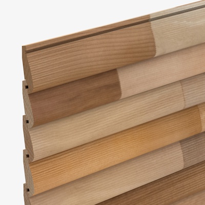 CP2499 Cedarline Evolve