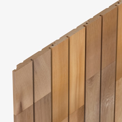 HP59 Cedarline Evolve