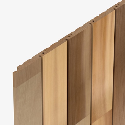 HP55 Cedarone Evolve