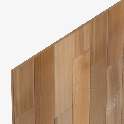 HP808 Cedarline Evolve