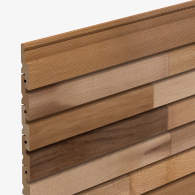 CP840 Cedarline Evolve