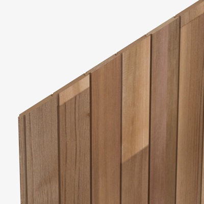 CP3351 Cedarone Evolve